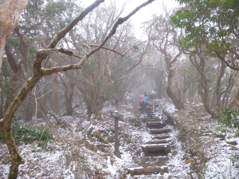 伊豆の名峰　日本百名山 天城山に登る_d0170615_19123537.jpg