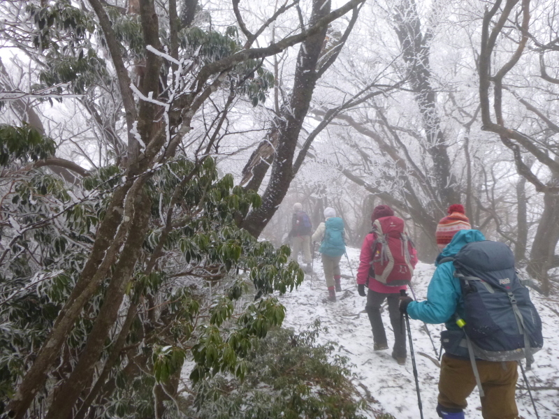 伊豆の名峰　日本百名山 天城山に登る_d0170615_19132251.jpg