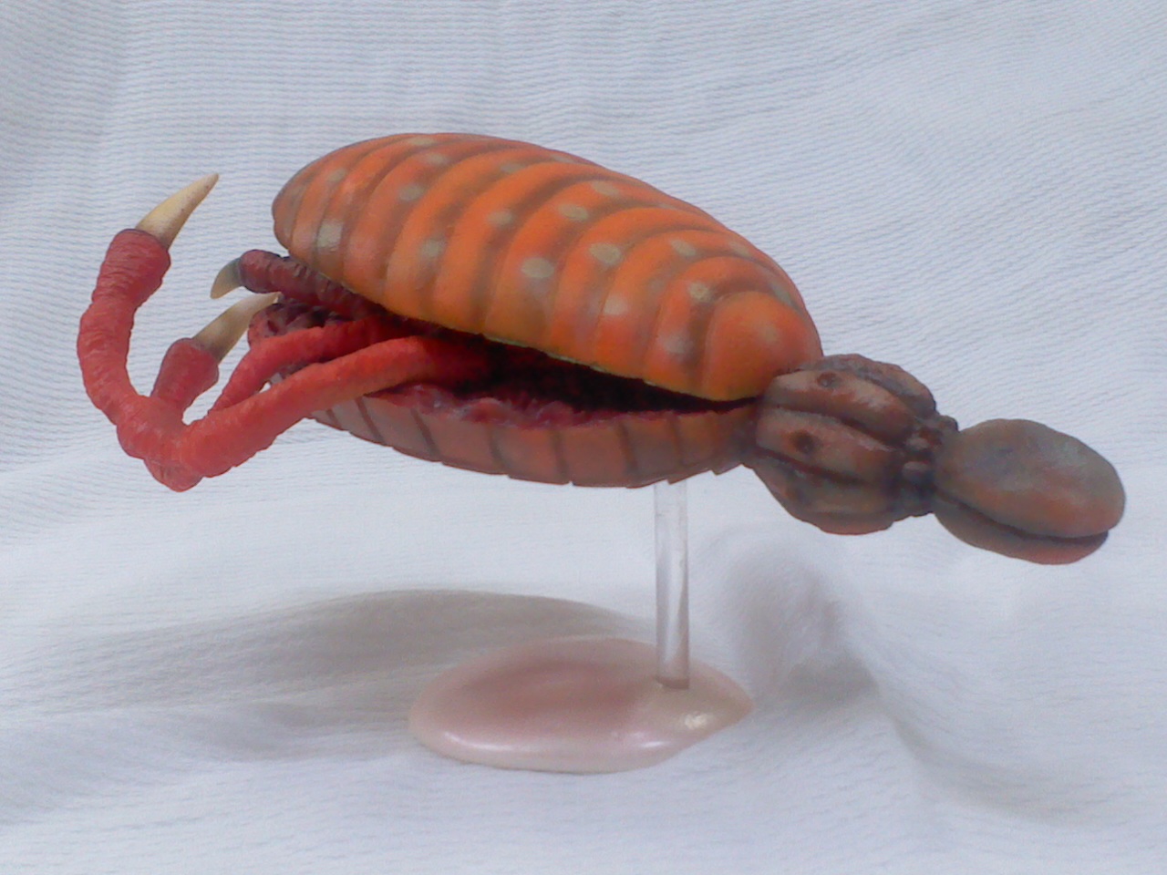 円盤生物ブラックテリナ発売中 イーグルあれこれ雑記