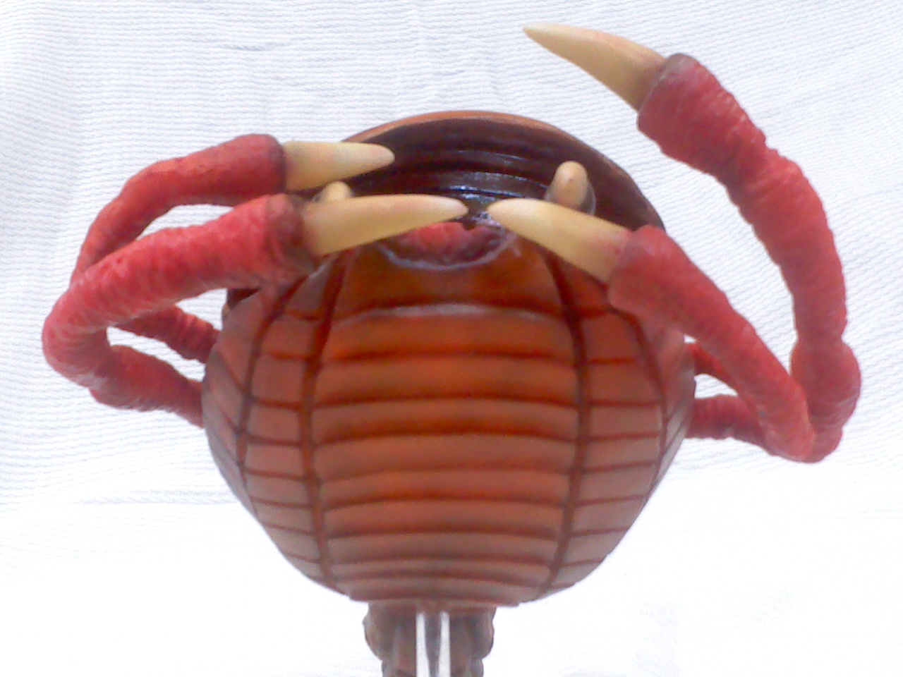 円盤生物ブラックテリナ発売中 イーグルあれこれ雑記