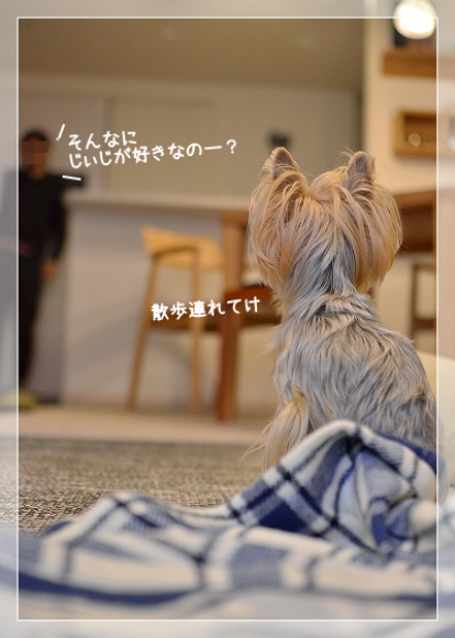 d0179828_09274461.png