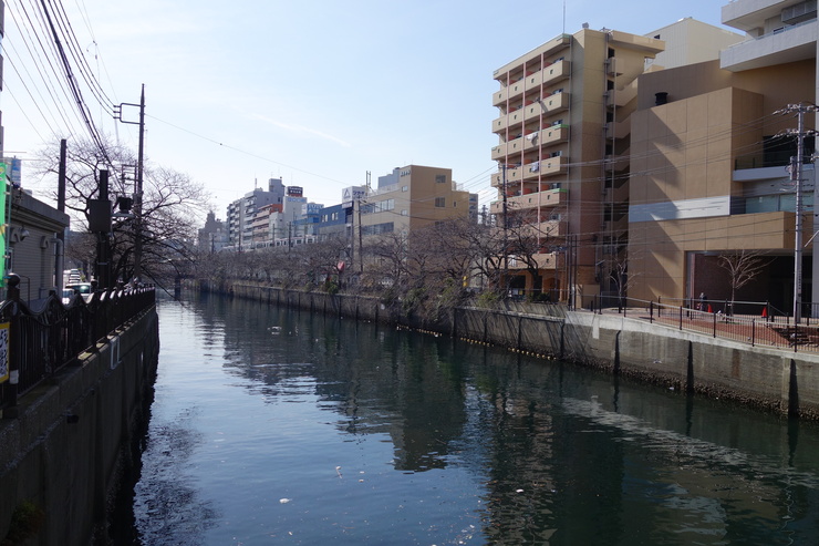 横浜をぶらぶら その3～カメラと写真のワールドプレミアショー CP＋（シーピープラス）2017その3_a0287336_23412844.jpg