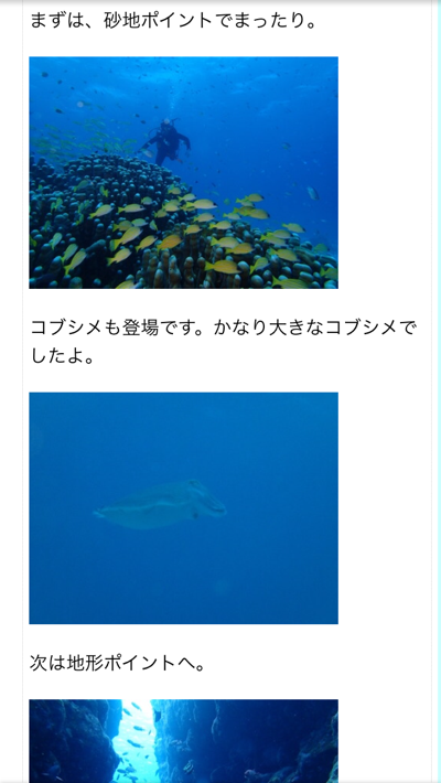 a0346455_06575323.png