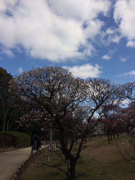 明日から3月!_f0152875_07350037.jpg