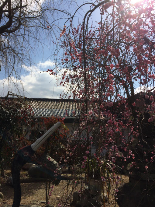 明日から3月!_f0152875_07350075.jpg
