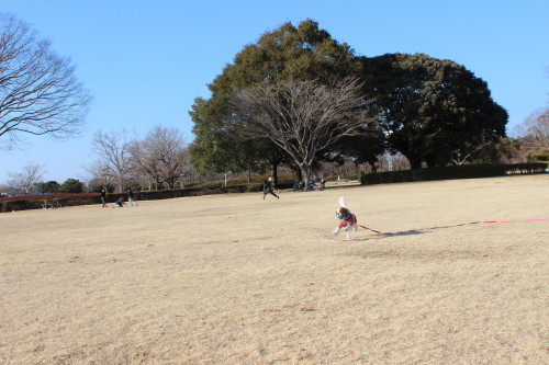 もちろん　２／２８　晴れ_e0114977_18512322.jpg