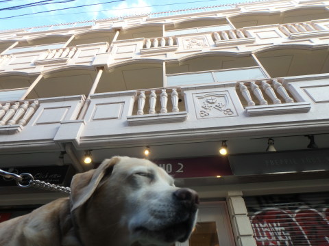 f0052277_01211141.jpg
