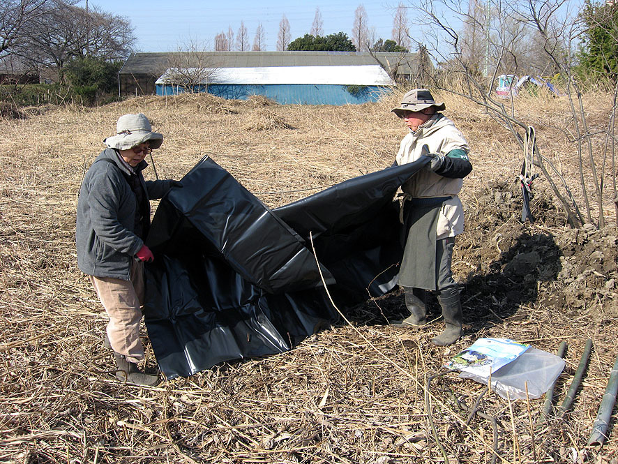 2017年2月28日　ウメモドキ池を作りました。_a0243381_15304461.jpg