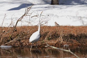 f0212586_22243564.gif