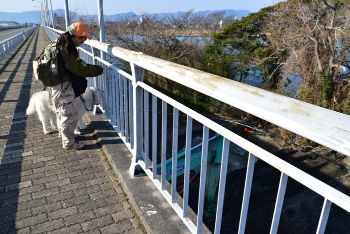 きょうのお散歩　きょうのミサゴ　(^o^)_c0049299_22540835.jpg