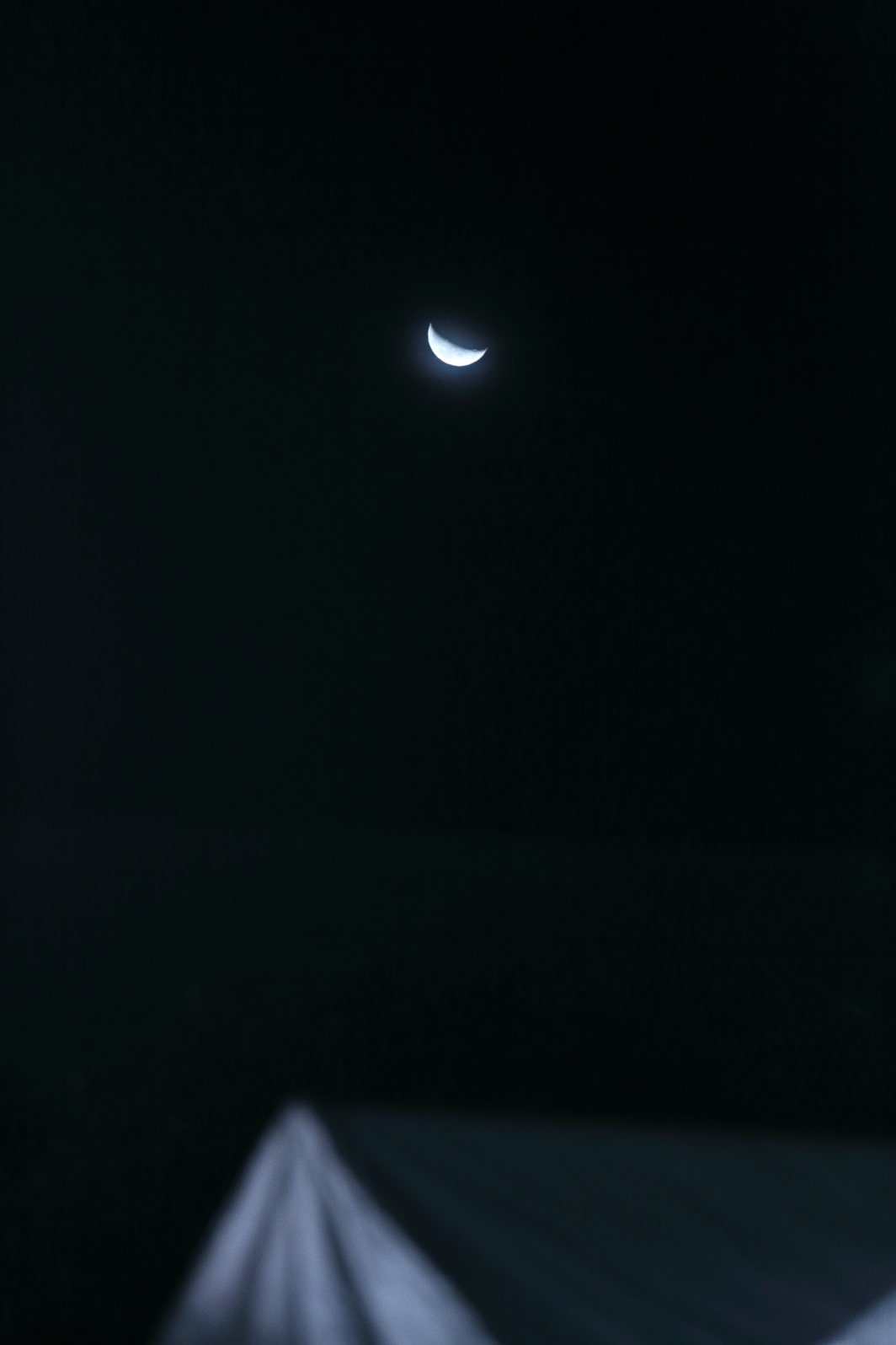 a0155104_23344804.jpg