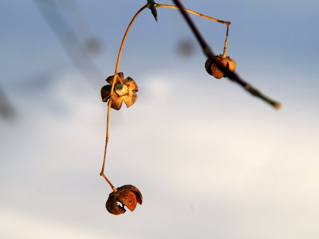 a0345007_1822021.jpg