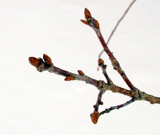 a0345007_1825710.jpg