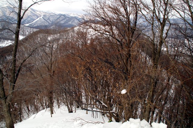 a0345007_185441.jpg