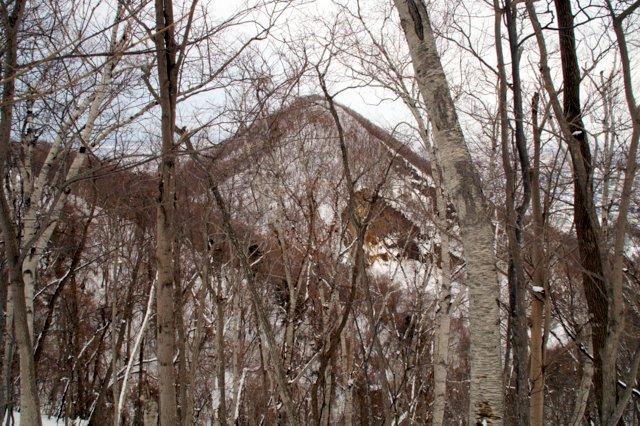 a0345007_189216.jpg