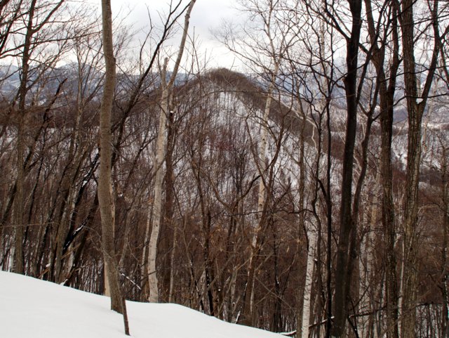 a0345007_1893615.jpg
