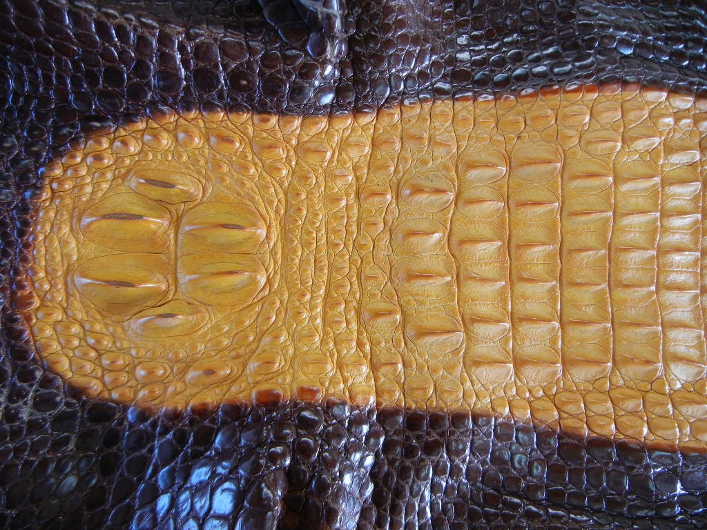 d0174707_19405241.jpg