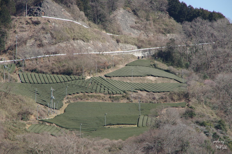 d0342307_23595395.jpg
