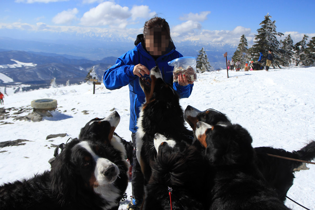 ２日目（2/25）〜雪山登山（頂上）_f0137508_15485855.jpg