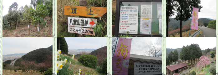 f0231709_12545080.png