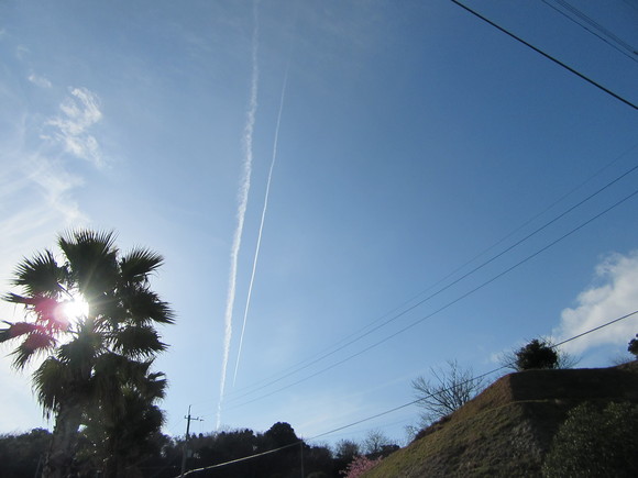f0231709_1282563.jpg