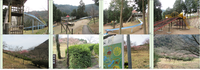 f0231709_1304888.png