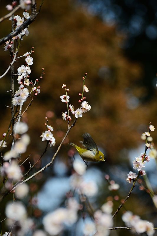 f0032011_20151832.jpg