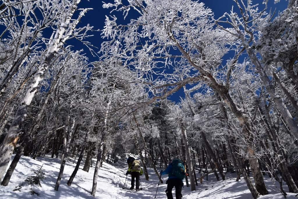 2017/2/26 蓼科山_a0340812_20082594.jpg