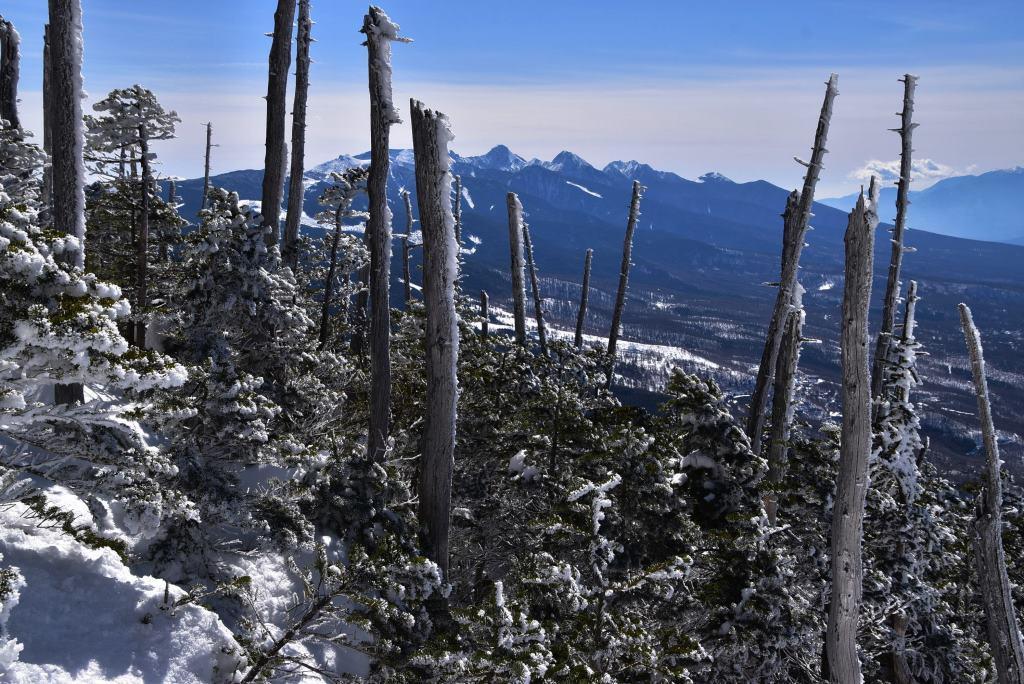 2017/2/26 蓼科山_a0340812_20084432.jpg