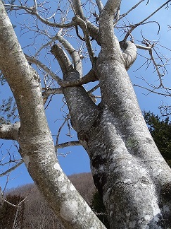 f0360815_14472271.jpg