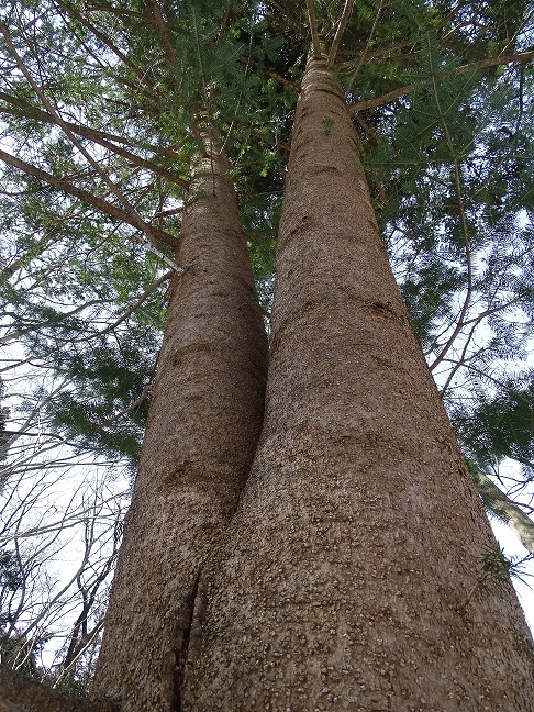 f0360815_14472278.jpg