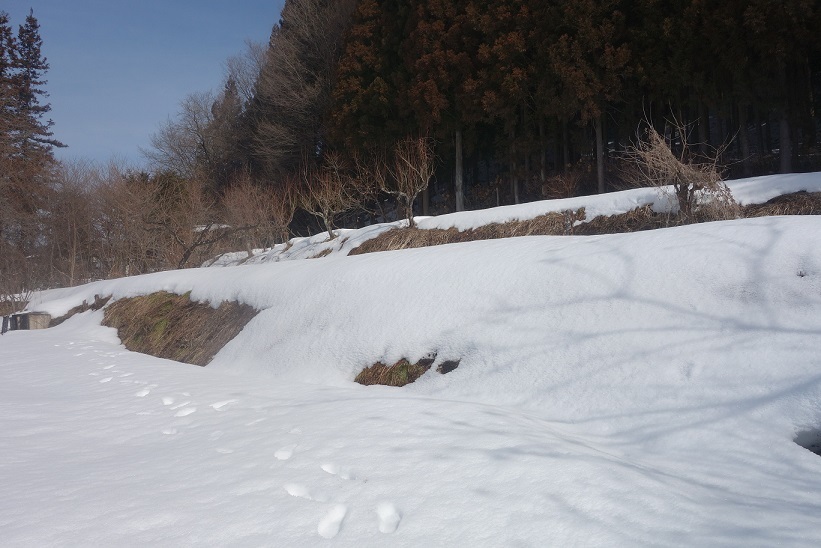 e0112417_21594905.jpg