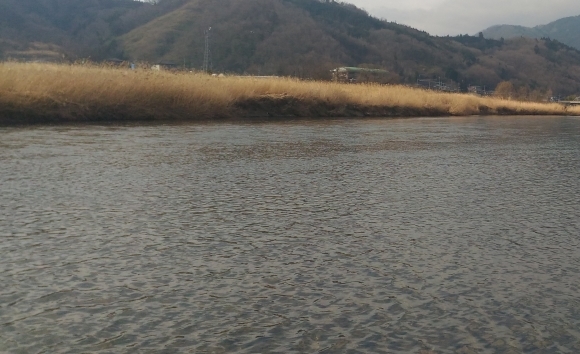 f0344117_19360972.jpg