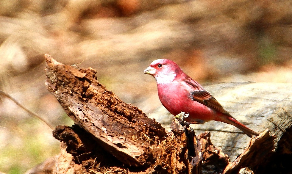 f0364220_07160730.jpg