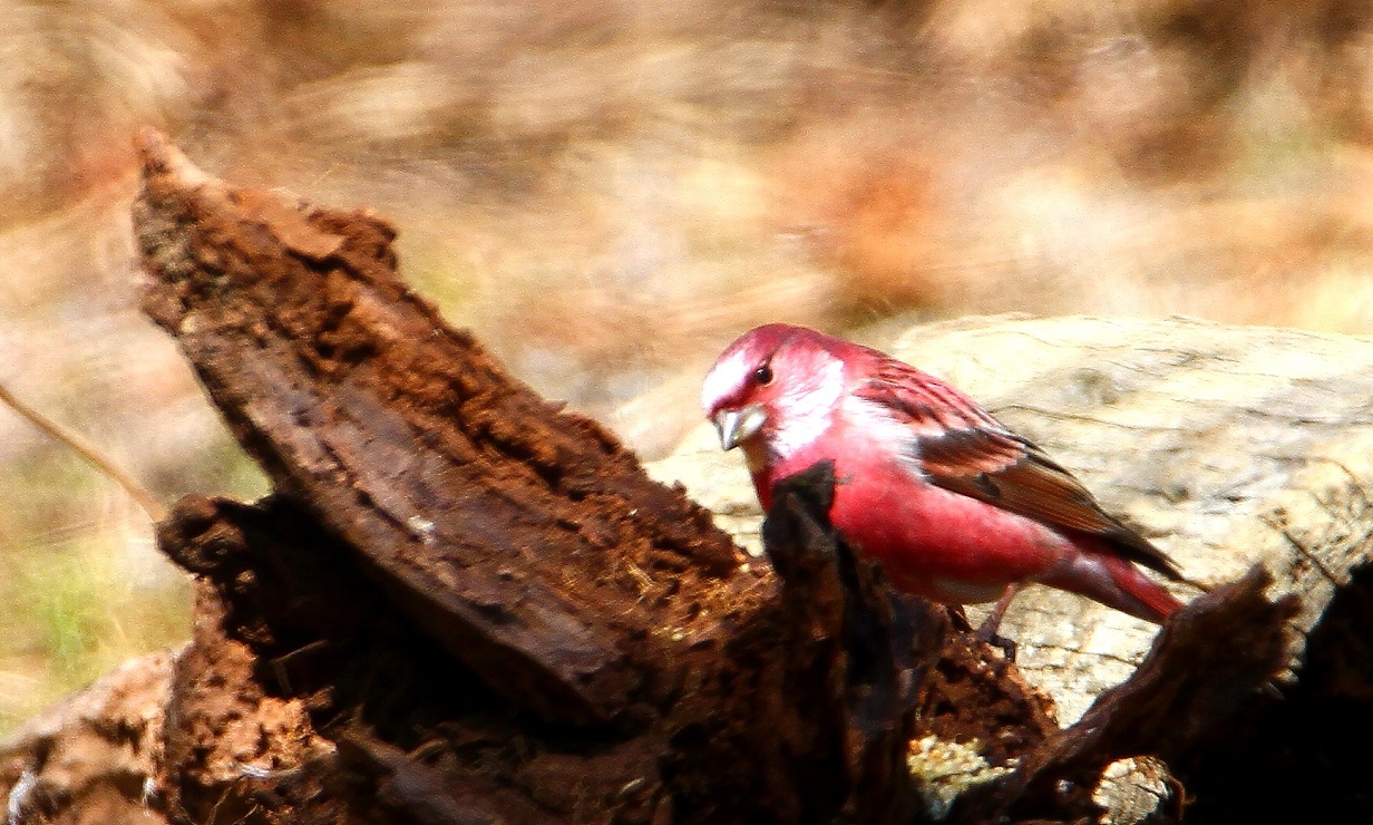 f0364220_07162946.jpg