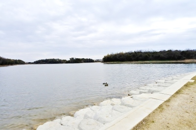 f0377222_18330793.jpg
