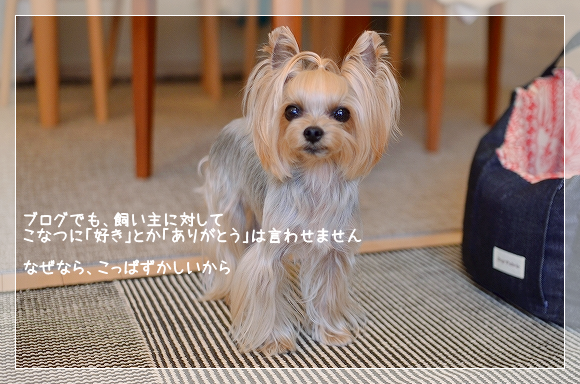 d0179828_08064316.png