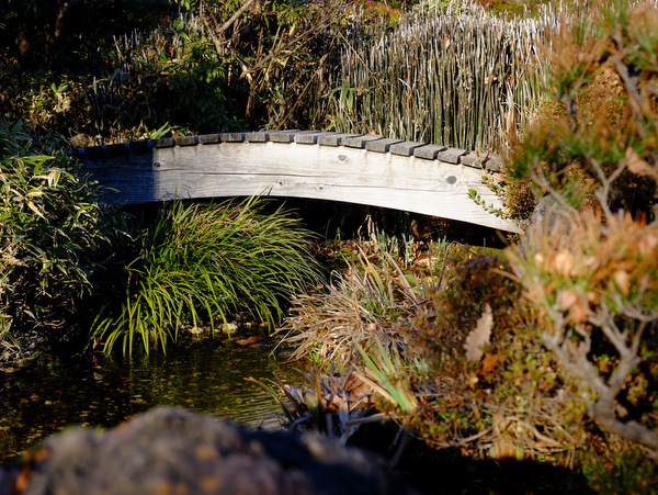 a0000029_2133630.jpg