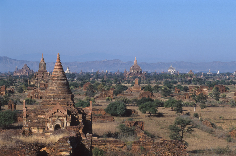 e0367330_8105476.jpg