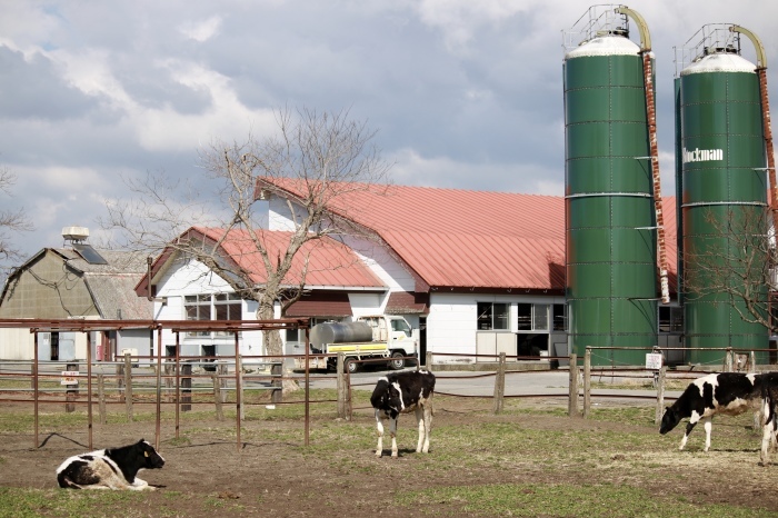 f0348831_17255117.jpg