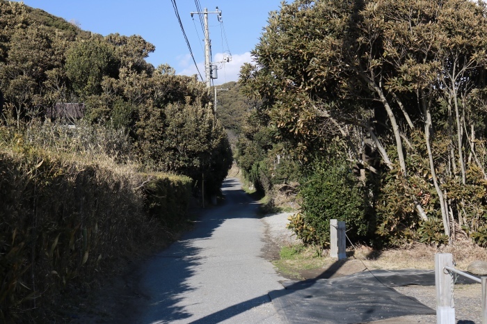 *千葉/富津*「Cafe GROVE」_f0348831_18304029.jpg