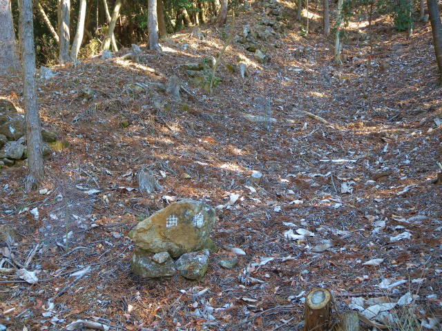 e0272335_55599.jpg