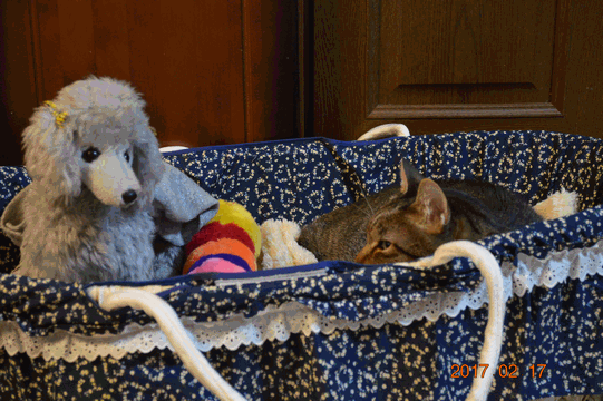 c0136736_18460341.gif