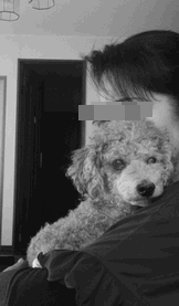 c0136736_18583523.gif