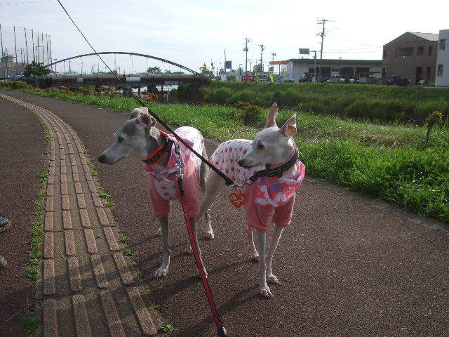 f0363538_21082073.jpg