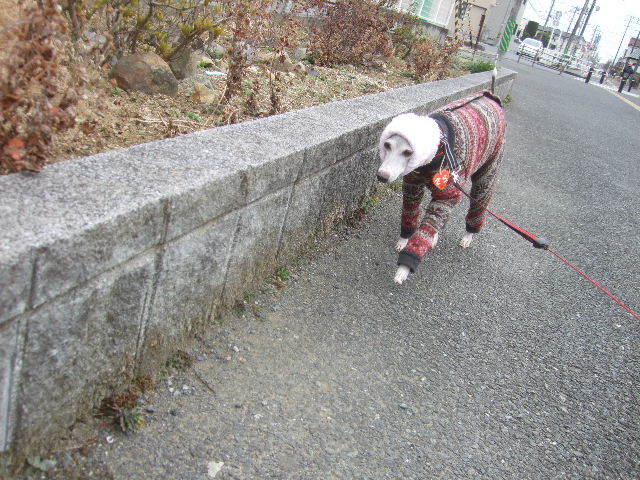 f0363538_21091886.jpg