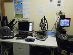 b0074939_911666.jpg