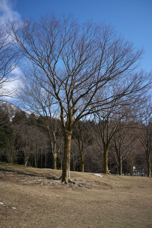 d0342652_16363480.jpg