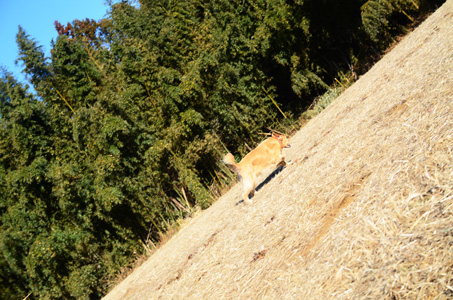 f0044853_16193730.jpg