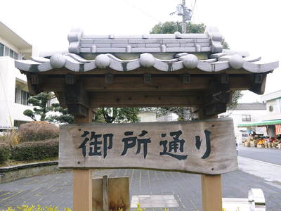 きくち初市 熊本県菊池市に春の訪れを告げる恒例の植木市 2017 御所通りにまつわる歴史探索 その1_a0254656_1935473.jpg